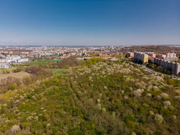 O krok blíže k zelenému Trojmezí. Praha schválila postup při revitalizaci a ochraně území