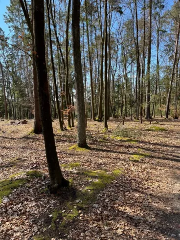 Na pozemkových úpravách spolupracují Lesy ČR a Státní pozemkový úřad