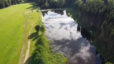 Obnovená vodní nádrž v jihočeských lesích zadržuje vodu v krajině