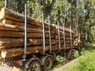 Agresivita v lese: Lesní cesty nepatří „jen“ veřejnosti