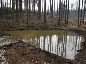 Proti suchu: Osm nových tůní prospívá na Vysočině krajině i živočichům