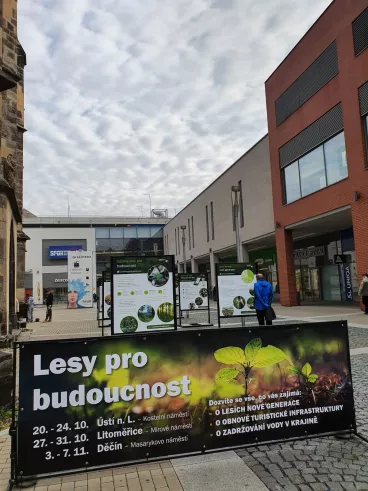 Lesy pro budoucnost: V severních Čechách o kalamitě a obnově lesů i cest