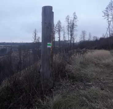 Zejména v kalamitních oblastech se nyní často obnovuje turistické značení