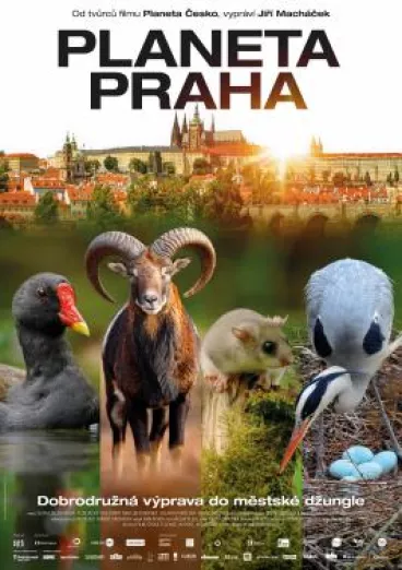 Film Planeta Praha vstupuje do kin. Snímek podpořilo i hlavní město Praha