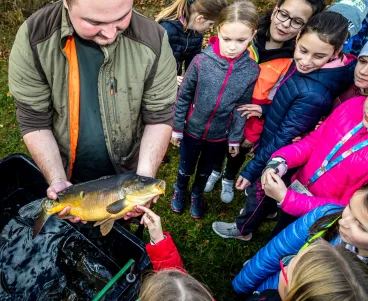 V Bílině plave pět set kilo nových ryb, vypustili je tam mostečtí školáci