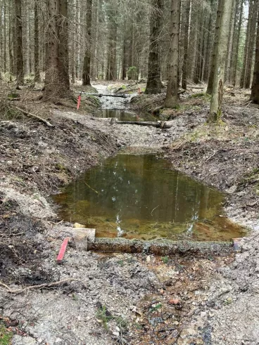 Opatření proti suchu: Tůně v lesích v Libereckém kraji