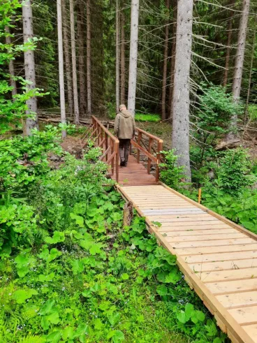 Turisté mohou zase nahlédnout do Boubínského pralesa