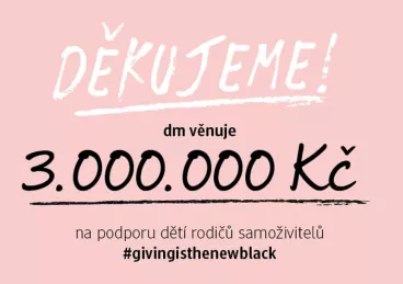 Giving Friday i Sbírka potravin byly letos v dm rekordní. Společnost věnovala potřebným 3 miliony korun a 44 tun zboží