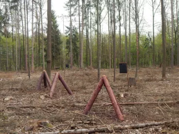 Letos se podaří zásadně utlumit kůrovcovou kalamitu