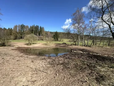 Meandry a mokřady: Lesy ČR vrací do broumovské krajiny vodu