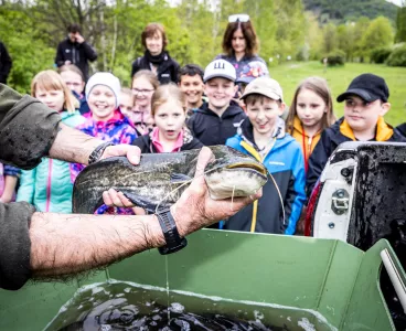 Děti společně s rybáři vypustily do řeky Bíliny stovky ryb