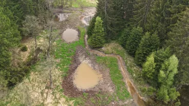 Pět nových tůní vzniklo v zaniklé nádrži v přírodním parku na Jihlavsku