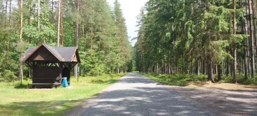 Frekventovanou lesní cestu opravily na hranicích s Rakouskem Lesy ČR