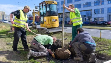 Ve Zlíně začala obnova aleje podél třídy T. Bati