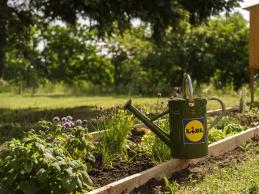 Skutečně zdravá škola a Lidl podpoří vznik dalších osmi jedlých školních zahrad