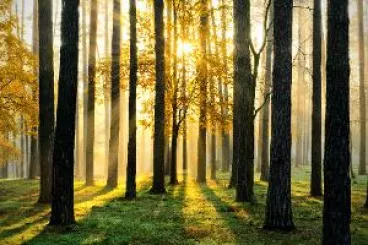 Ministerstva zemědělství a životního prostředí, Lesy ČR a Jihomoravský kraj se dohodly na memorandu o péči a ochraně Ždánického lesa