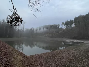 Novou nádrž s tůněmi vybudovaly na Tachovsku Lesy ČR