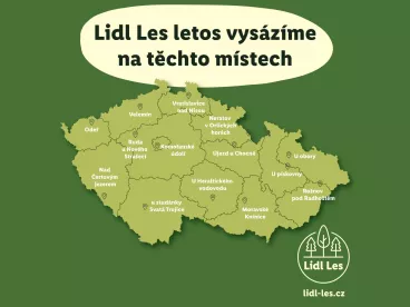 Zákazníci Lidlu opět vybrali místa, kde vyrostou nové lesy