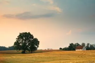 Zemědělci poškození povodněmi nebudou muset chodit na úřad, škody stačí vyplnit v aplikaci. SZIF zahájí monitoring zemědělských ztrát