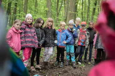 Ministerstvo školství postupuje při plánování rozpočtu v rozporu se zákonem