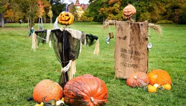 Areál zoo ovládne Halloween