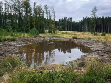 Dvě nové tůně jsou přirozenou zásobárnou vody a biotopem živočichů