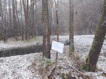 Ekologický projekt Lesů ČR: Boční koryto Hajmrlovského potoka přirozeně meandruje krajinou