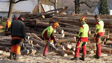 Lesy ČR splnily slib daný po povodních, lidé už topí darovaným dřevem